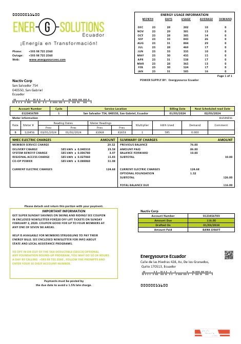 Ecuador Energysource Ecuador energy business utility bill template (2) PSD template